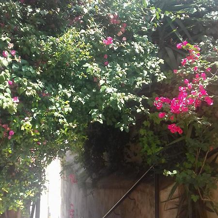 Antonella Home Μπρίντιζι Εξωτερικό φωτογραφία