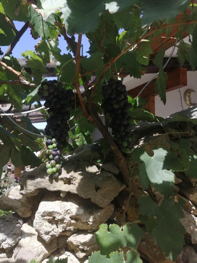 Antonella Home Μπρίντιζι Εξωτερικό φωτογραφία