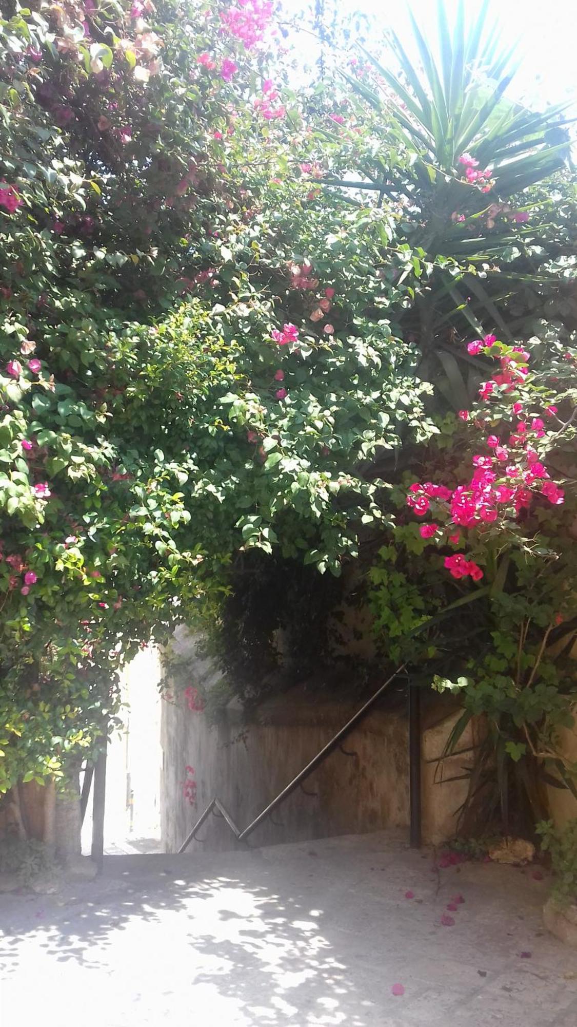 Antonella Home Μπρίντιζι Εξωτερικό φωτογραφία